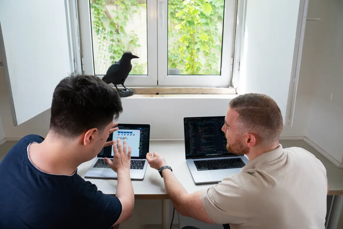 Designer vs dev